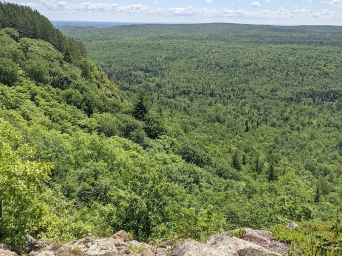Proposed repeal of ‘Roadless Rule’ could open Michigan national forests